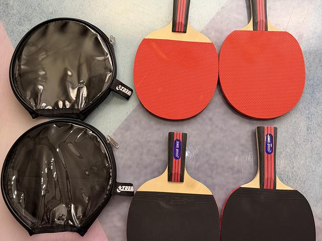 DOUBLE HAPPINESS table tennis rackets