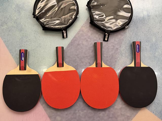 DOUBLE HAPPINESS table tennis rackets