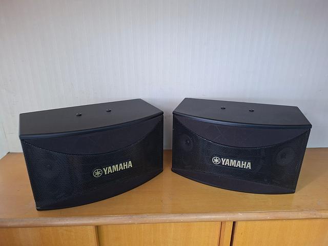 Casio karaoke speakers