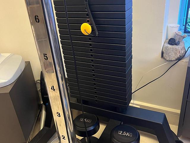 Ultimate Heavy-Duty Home Gym Moving Sale (End of M