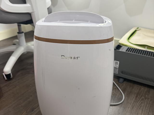 Dehumidifier - 12L 