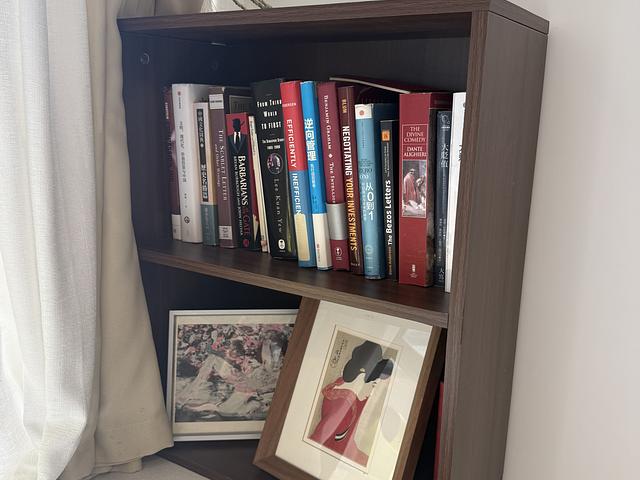 2 layer bookshelf - wood