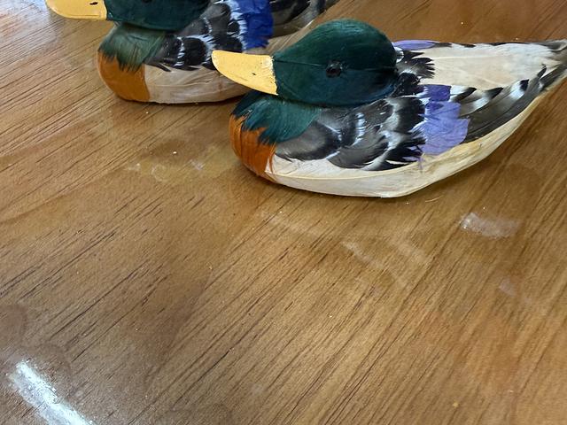 200 pieces of wooden duck